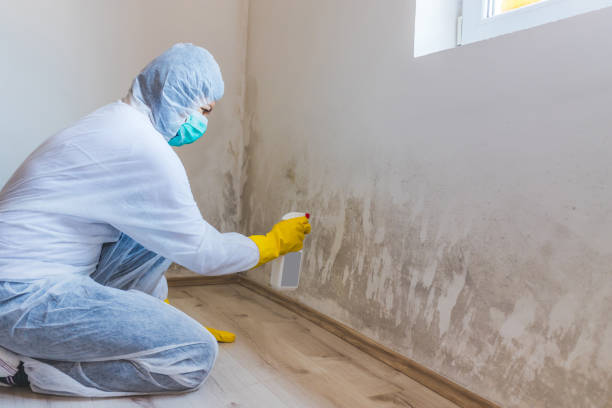 Mold Remediation specialist working in Concord